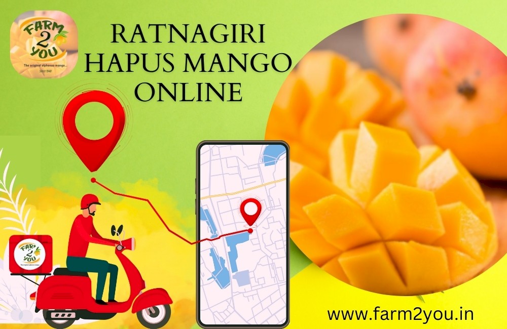 Hapus Mango Delights: How To Buy The Best Quality Ratnagiri Hapus Mangoes Online