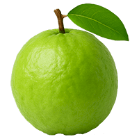 Guava